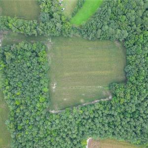 Photo #11 of 1451 Dutch Road, Suffolk, Virginia 10.7 acres