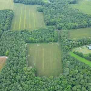 Photo #13 of 1451 Dutch Road, Suffolk, Virginia 10.7 acres