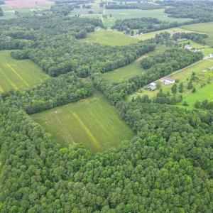 Photo #15 of 1451 Dutch Road, Suffolk, Virginia 10.7 acres