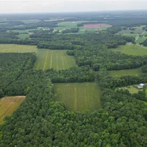 Photo #17 of 1451 Dutch Road, Suffolk, Virginia 10.7 acres