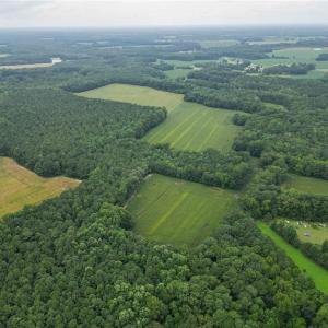 Photo #18 of 1451 Dutch Road, Suffolk, Virginia 10.7 acres