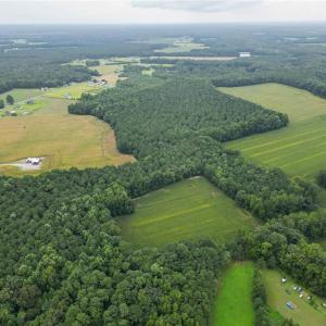 Photo #21 of 1451 Dutch Road, Suffolk, Virginia 10.7 acres
