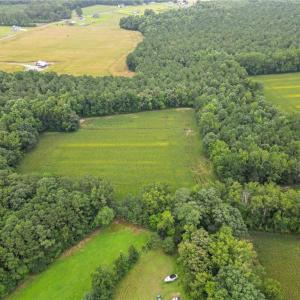 Photo #4 of 1451 Dutch Road, Suffolk, Virginia 10.7 acres