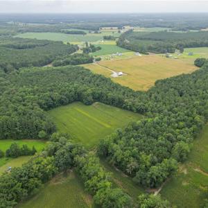Photo #6 of 1451 Dutch Road, Suffolk, Virginia 10.7 acres