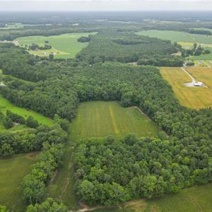 Photo #8 of 1451 Dutch Road, Suffolk, Virginia 10.7 acres
