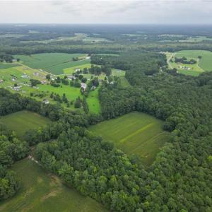 Photo #10 of 1451 Dutch Road, Suffolk, Virginia 10.7 acres