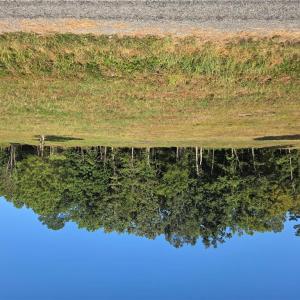 Photo #3 of Lot 4 SANDY HILL Road, Courtland, Virginia 0.5 acres