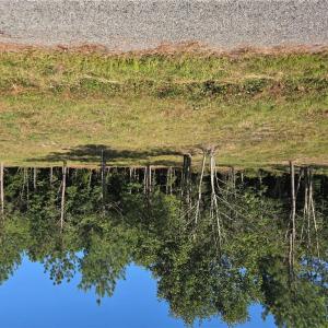 Photo #3 of Lot 6 Sandy Hill Road, Courtland, Virginia 0.6 acres