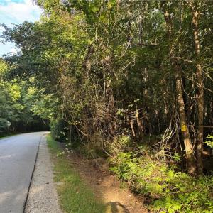 Photo #3 of 7.7 Sondej Avenue, Chesapeake, Virginia 7.7 acres