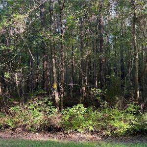 Photo #4 of 7.7 Sondej Avenue, Chesapeake, Virginia 7.7 acres