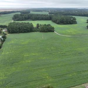 Photo #1 of 133 Blue Heron Lane, Knotts Island, North Carolina 51.0 acres