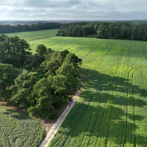 Photo #5 of 133 Blue Heron Lane, Knotts Island, North Carolina 51.0 acres