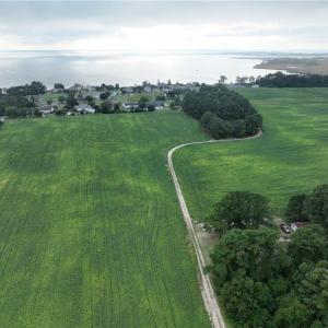 Photo #7 of 133 Blue Heron Lane, Knotts Island, North Carolina 51.0 acres