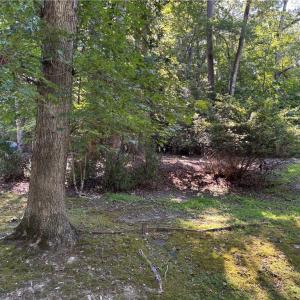 Photo #1 of 118 The Maine, Williamsburg, Virginia 0.6 acres