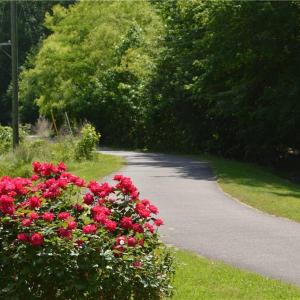Virginia Capital Trail at the First Colony entrance on Route 5