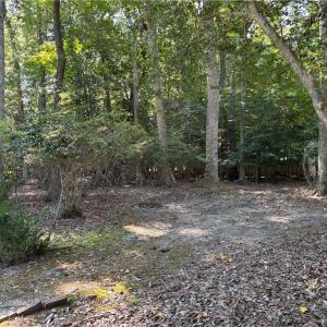 Photo #4 of 118 The Maine, Williamsburg, Virginia 0.6 acres