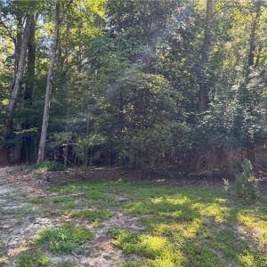 Photo #6 of 118 The Maine, Williamsburg, Virginia 0.6 acres