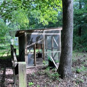Chicken coop.