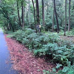 Over 500 ft of road frontage.