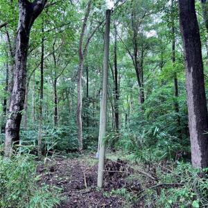 Electricity available on property.