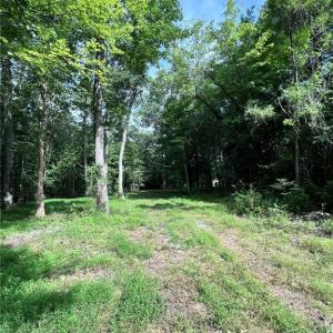 Wooded with clearings to build.