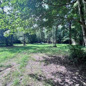 Beautiful wooded views.