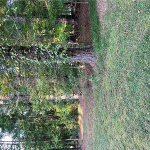 Photo #5 of 7AC Salem Road, Virginia Beach, Virginia