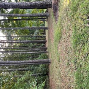 Photo #6 of 7AC Salem Road, Virginia Beach, Virginia