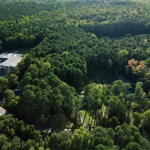 AERIAL VIEW OF WOODED ACREAGE
