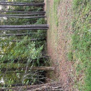 Photo #4 of 7AC Salem Road, Virginia Beach, Virginia