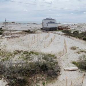 Photo #5 of 1671 Sandpiper Road, Corolla, North Carolina