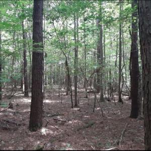 Photo #3 of 6628 Blackwater Road, Virginia Beach, Virginia 6.3 acres