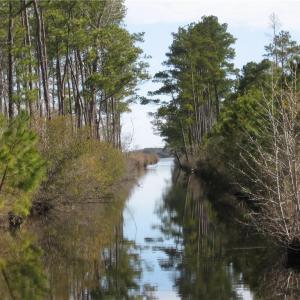 Photo #5 of 4161 Caratoke Highway, Barco, North Carolina 92.4 acres