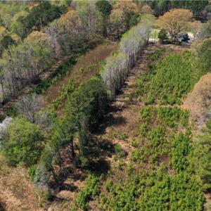 Photo #10 of 2808 Gibbs Road, Virginia Beach, Virginia 7.6 acres