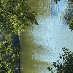 Photo #12 of 5205 Woolwich Court, Virginia Beach, Virginia 0.7 acres