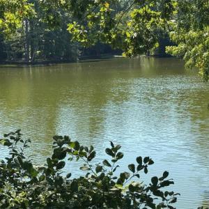 Photo #2 of 5205 Woolwich Court, Virginia Beach, Virginia 0.7 acres