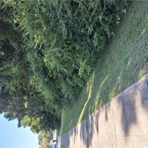 Photo #1 of 5580 Godwin Boulevard, Suffolk, Virginia 0.8 acres