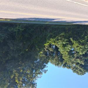 Photo #4 of 5580 Godwin Boulevard, Suffolk, Virginia 0.8 acres