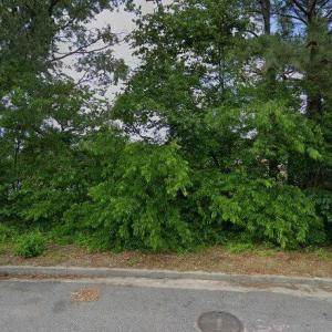 Photo #3 of 619 Lanier Crescent, Portsmouth, Virginia 1.0 acres