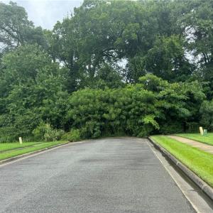 Photo #6 of 26AC Johnstown Road, Chesapeake, Virginia 26.5 acres