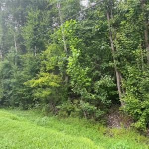 Photo #8 of 26AC Johnstown Road, Chesapeake, Virginia 26.5 acres