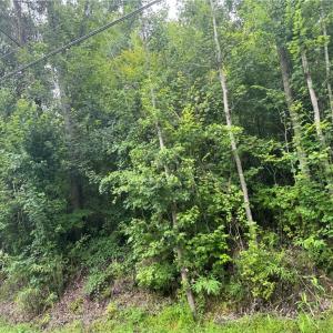 Photo #9 of 26AC Johnstown Road, Chesapeake, Virginia 26.5 acres