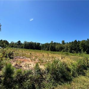 Photo #2 of Brick Yard Road, Emporia, Virginia 12.4 acres