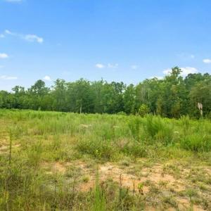 Photo #4 of 10+AC Brick Yard Road, Emporia, Virginia 12.4 acres