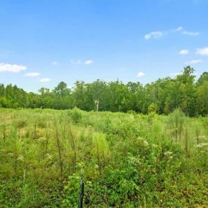 Photo #5 of 10+AC Brick Yard Road, Emporia, Virginia 12.4 acres