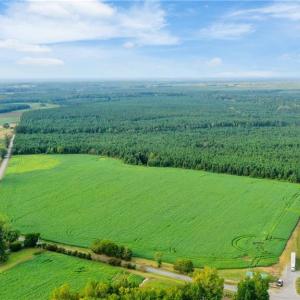 Photo #7 of 6+AC Saint Lukes Road, Ivor, Virginia 6.6 acres