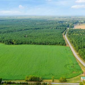 Photo #6 of 6+AC Saint Lukes Road, Ivor, Virginia 6.6 acres