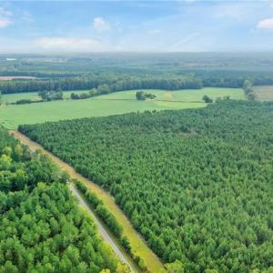 Photo #9 of 6+AC Saint Lukes Road, Ivor, Virginia 6.6 acres