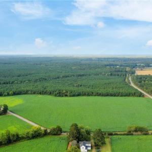 Photo #7 of 61+AC Ivor Road, Ivor, Virginia 61.0 acres