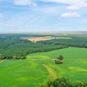 Photo #6 of 61+AC Ivor Road, Ivor, Virginia 61.0 acres